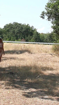 The Littl Tih Girl Shows off Her Tits to the Cars