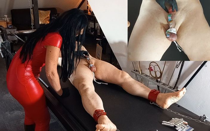 Lady Luciana Di Domizio: La polla de un esclavo sirve como pincushion