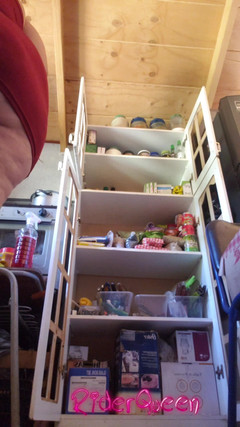 Riderqueen BBW Step Mom Latina Ebony: Chỉ có tôi Riderqueen