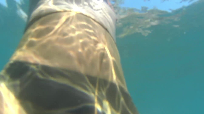 Nylondelux: Nacktes strumpfhosen-meer