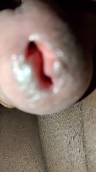 Cock Cock