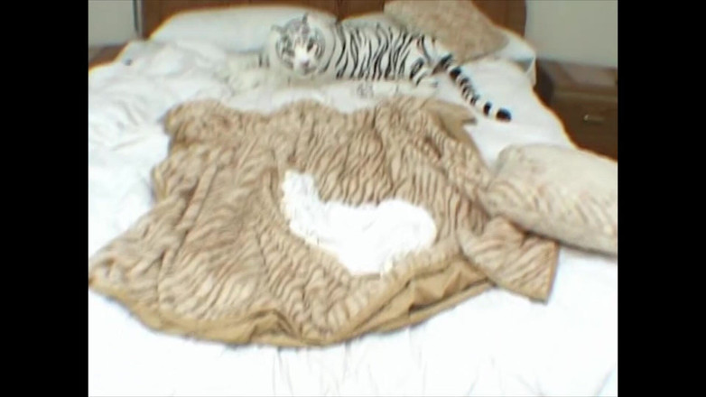 Real Porn Amateur: पिगटेल पहनी सुंदर सुनहरे बालों वाली कमसिन लंड चूस रही है और गले में गहरे लंड ले रही है