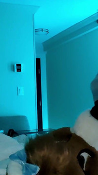 Furry Femboy Fucked Bareback by Daddy Murrsuiter, Then Sucks Him Clean