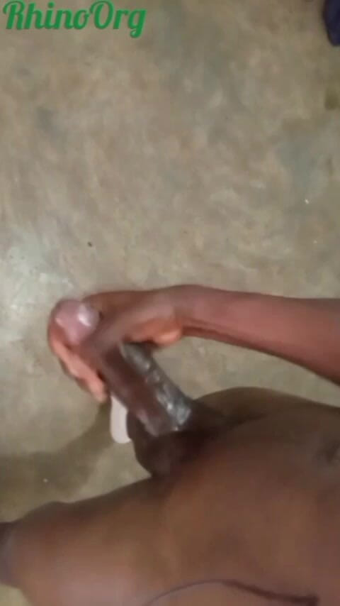 RhinoOrg: Rhinoorg est prêt maintenant, on s'amuse avec cette énorme bite