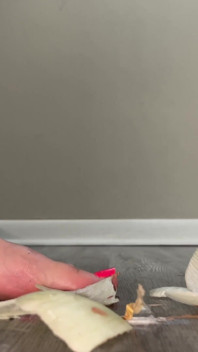 Foot Crush, Onion, 4K Füße, Video-pov