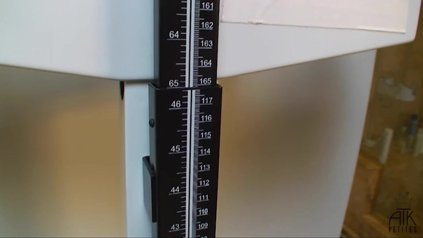 Sexy Nude Weigh-in (ATK Fans (Solo)) Sexy Nude Weigh-in (ATK Fans (Solo))