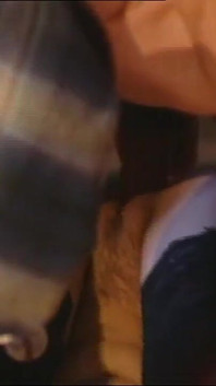 Extreme Gang Bang in the Disco with Hot Girls Wanting to Suck Big Cocks