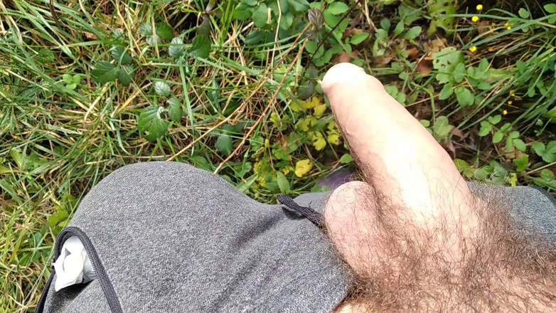 Elvissc: Napalony ojczym udał się na wycieczkę, kiedy wyjął swojego bonita...
