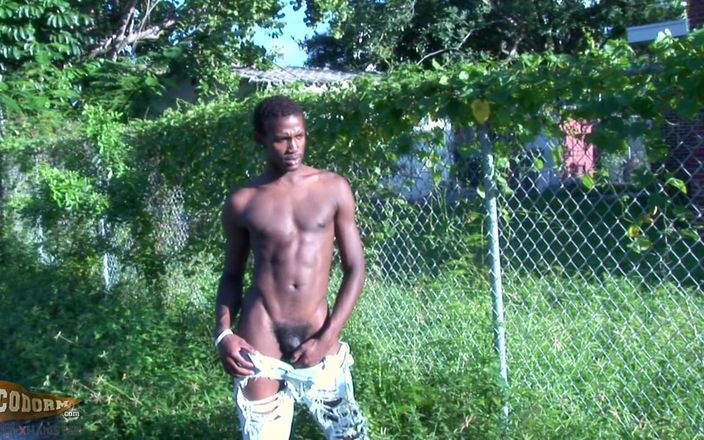 CocoDorm: Sexy Sylk