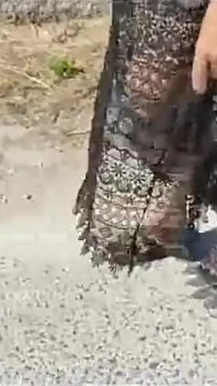 Mel se předvádí na straně silnice 11
