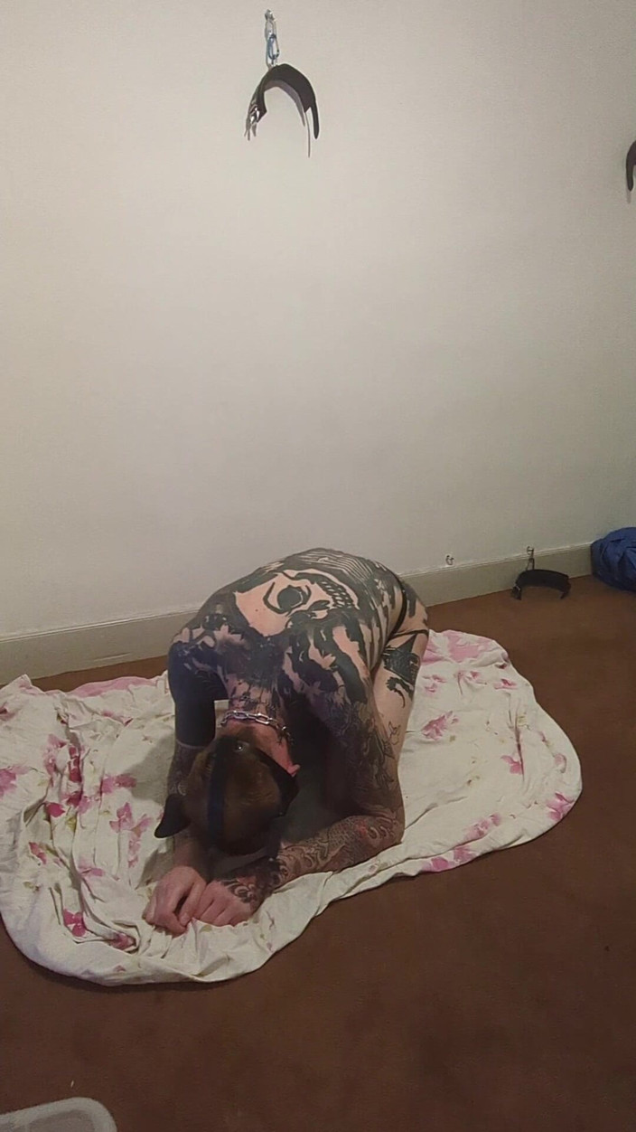 Pupdan: Sub fun z ich zablokowanym kutasem