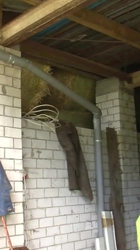 Couple fucks at the barn sex clip