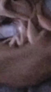 Fuck in Bedroom