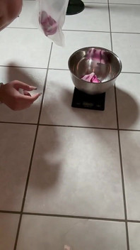Flamingo Pissing - Pissy Socks Twogirlsonechallenge