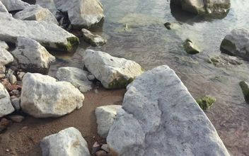 Public Blowjob on the Beach Cum in Mouth – POV