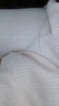 Asian Angel 12413