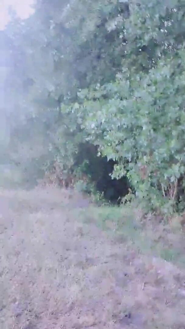 Slutboyben: Slutboyben cam4, reine exhibitionniste