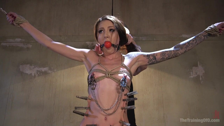 The Training of O by Kink: Treinamento para escravos Kendra Cole