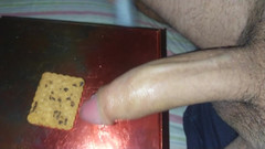 Lo Zborro: 当你自慰时，我射在了你的饼干上（下流话）