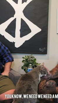 Porn Star Confessions - jack Stacked (episode 222)