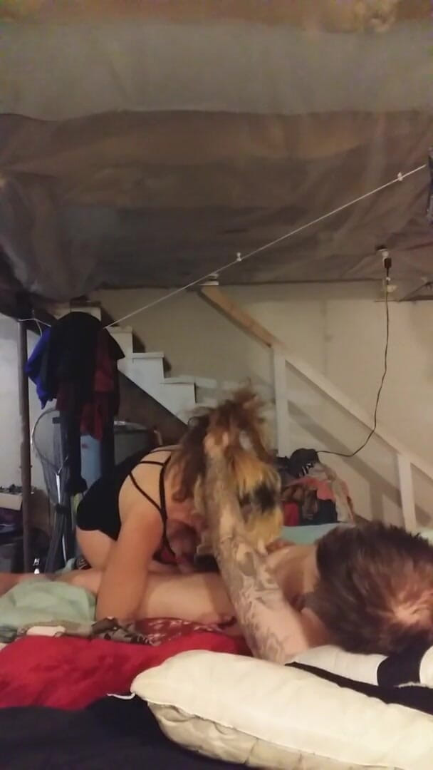 Jacknyvonshow: Ich gab meinem mann einen blowjob