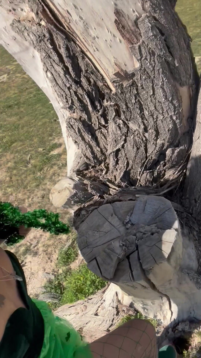 TSJade95: Norocoasa Leprechauns - Farmece norocoase dulci