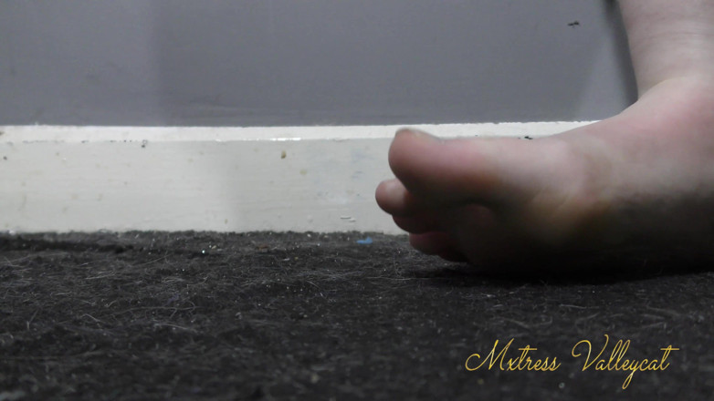 Mxtress Valleycat: Ground into the carpet