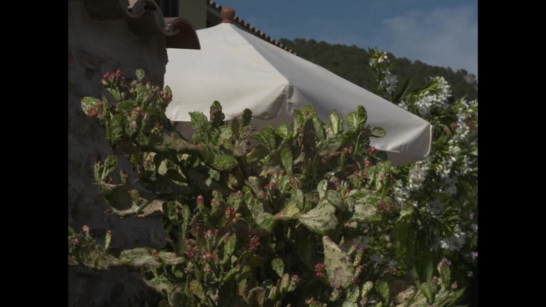 MMV films - The Original: 강렬하고 깊은 마사지