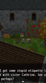 Jogo da busca do camponês # 104