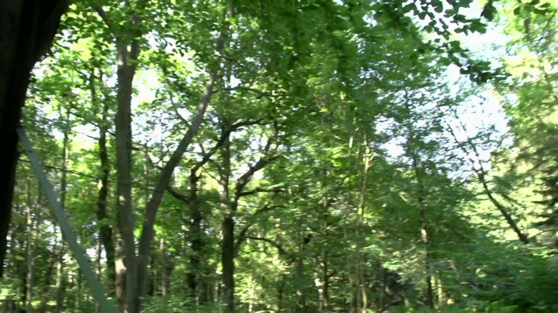 MMV Blondes: Outdoor fuck with pierced MILF and cum on pussy ending
