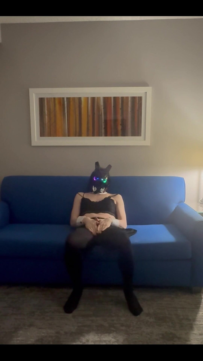 Bunny Willow: Am găsit o pereche de ciorapi mai întunecate