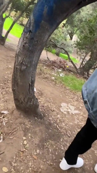 Hung Papi Butt Fucking Tree Huggers Gay - Pancutan Mani Dubur Mendalam!