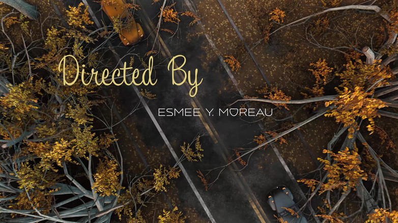 AmelieRMoreau: Tamirci Amelie