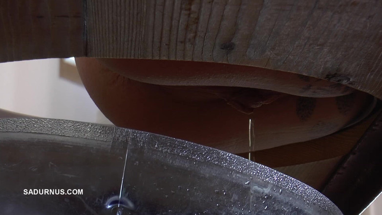 Sadurnus: Puan Cleo memancut air tandas ke dalam mulut hamba berbohong...