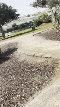 Desnuda en el parque