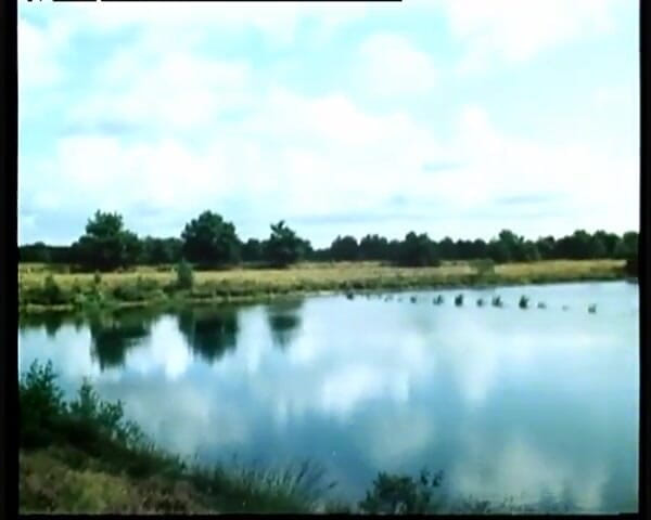 GERMAN PORN CLASSICS: Inocencia de Lande Country - video de herzog