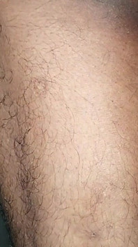 Sexy žena v domácnosti, nejlepší zezadu, rozlišovat každý den