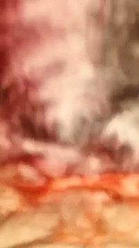 Ibu tiri berambut coklat dengan adik tiri montelnya menghisap zakar yang sama