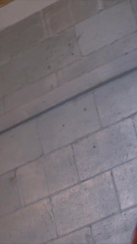 Gegen ampire, stripperin
