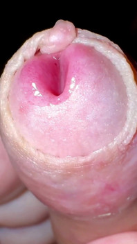 Compilation: Play with My Small Foreskin Cock Until He Cums