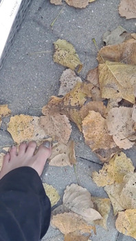 Sexy Bare Feet Crunching Dry Leaves