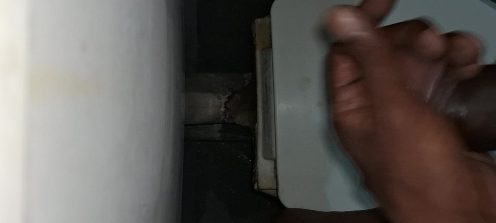 Maddymissile: Mijn penis verpesmelten