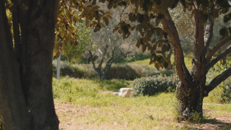 Plenna Filmes: I Found a Hot Japanese Man with a Huge Cock...