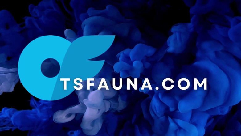 Cali Fauna: 11인치 흑인 대물 자지 딜도에 의해 파괴되는 기름진 후장