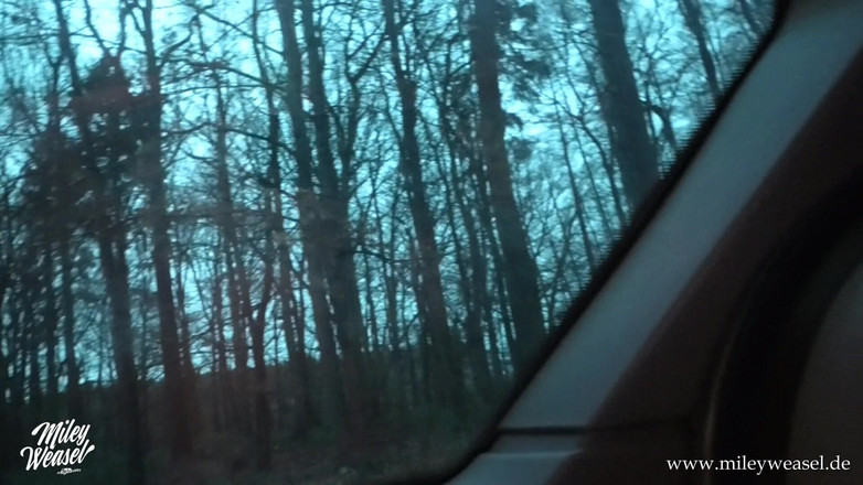 Miley Weasel: Sexy německá blondýnka je ošukaná na veřejnosti