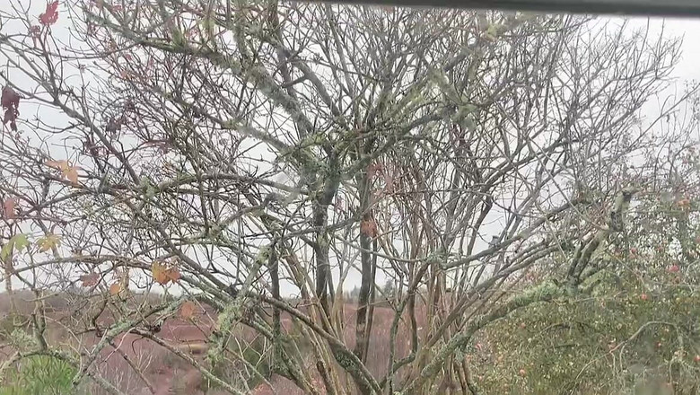 sweethanajapanese: La piccola ragazza carina Hana chan sexy in abito rosso...