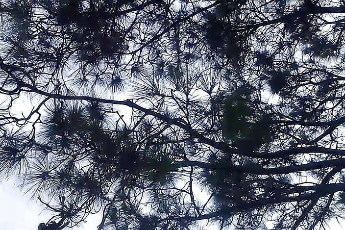 Gangbang straight: 小便トリビュートにフィールド巨大なインドのコック