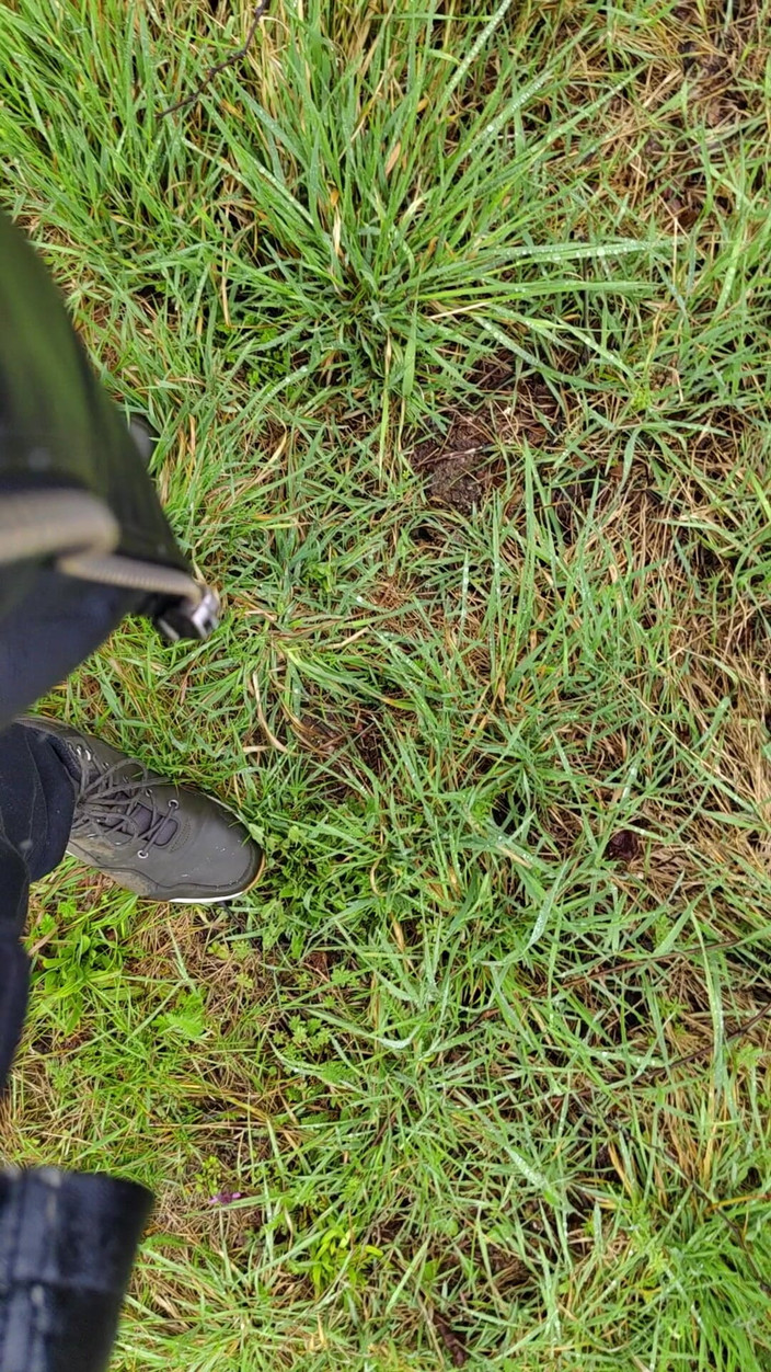 Bayer911: Venkovní chcaní v dešti