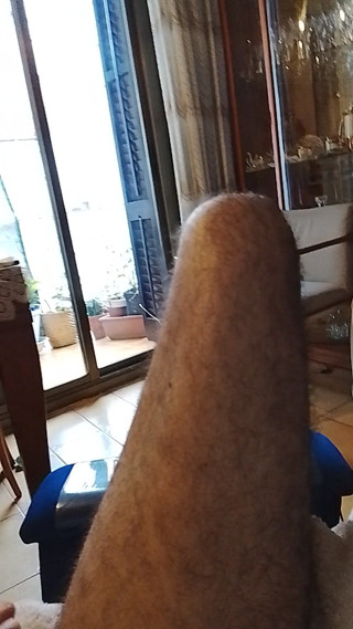 Beehive: Melalui tingkap