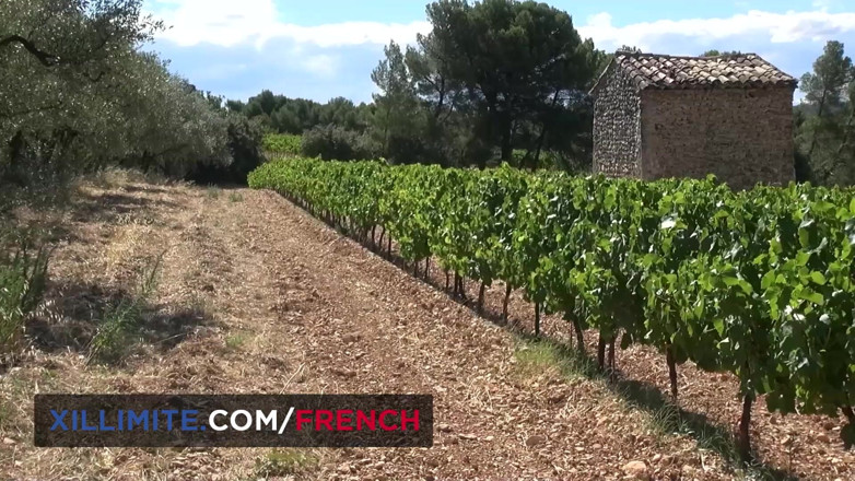 French girls at work: Anální sex na vinicích s prsatou Rose Valérie